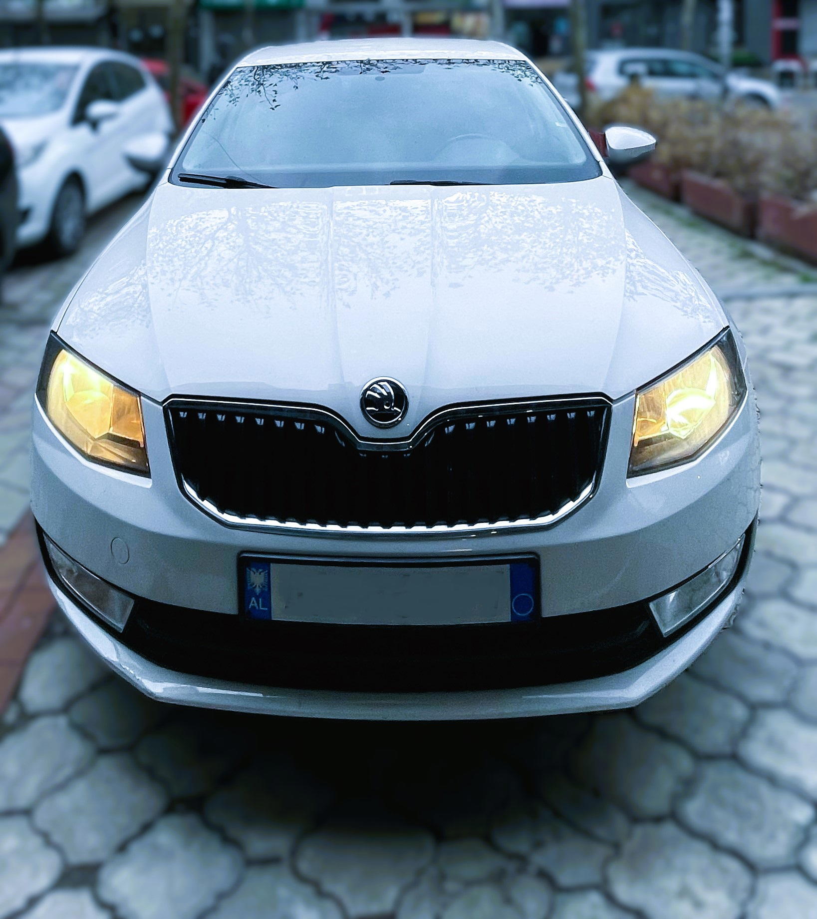 Skoda Octavia RentX Albania
