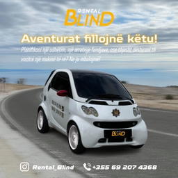 RENTAL BLIND
