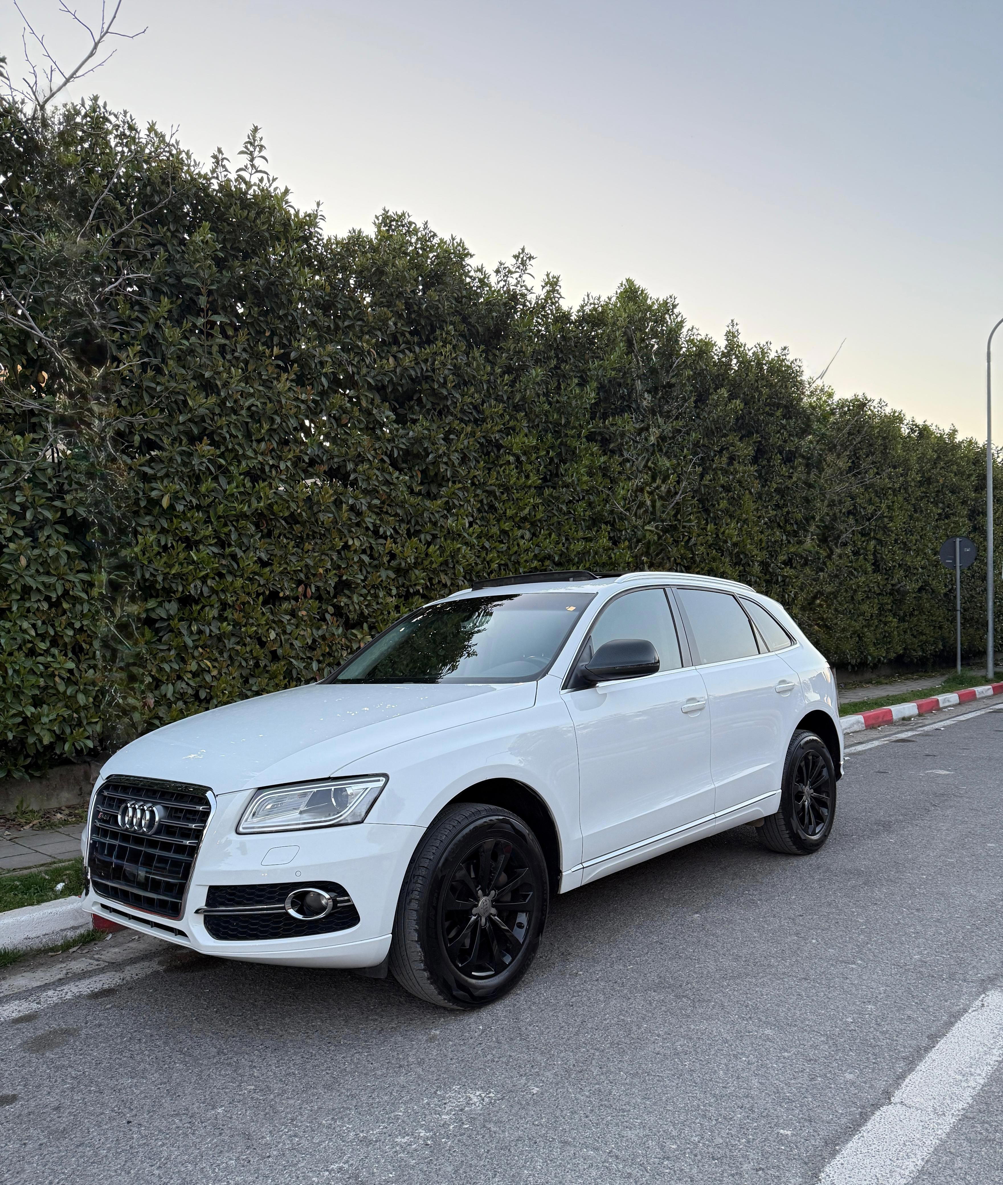 Audi Q5 - side view