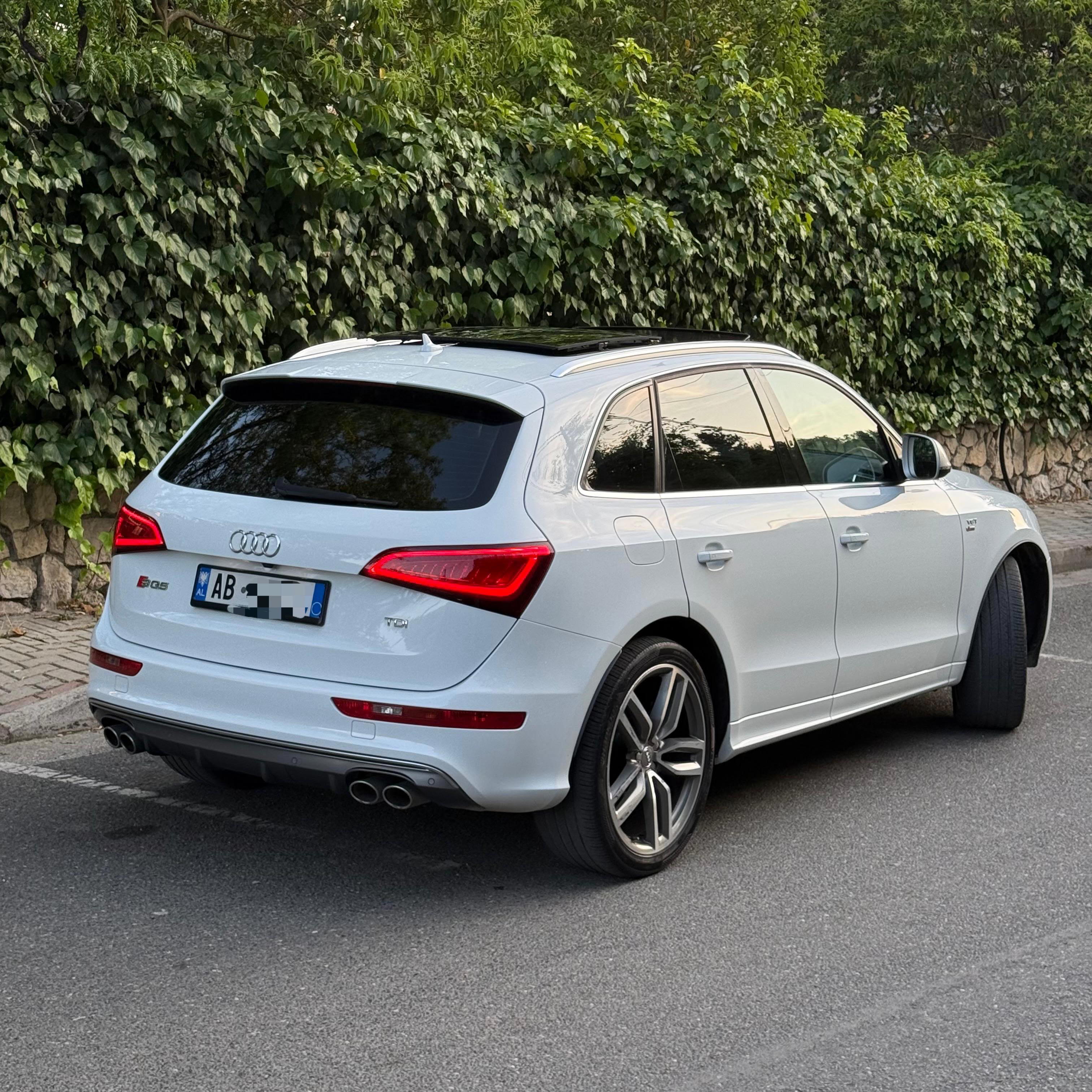 Audi SQ5 - photo 3