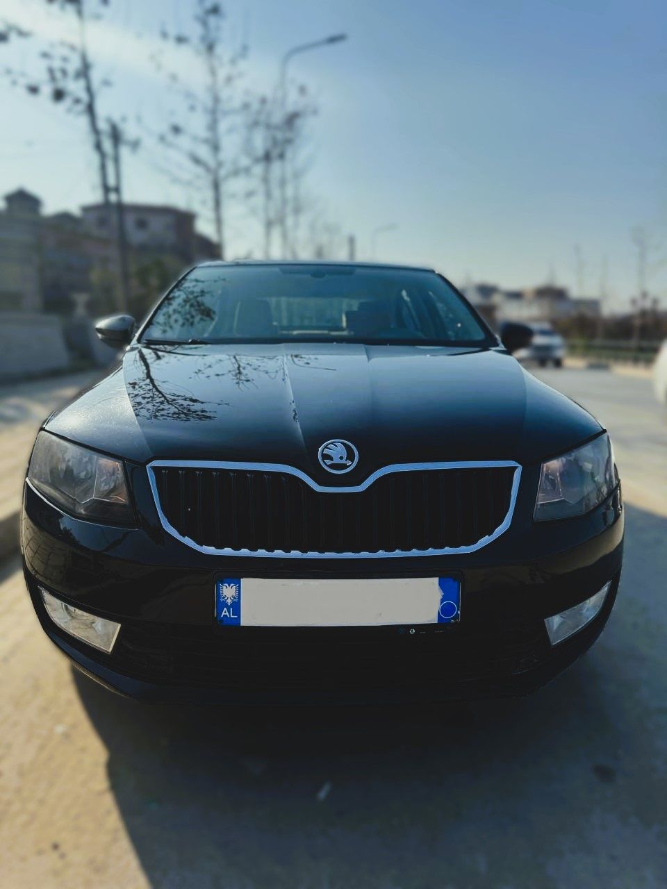 Skoda Octavia - main photo