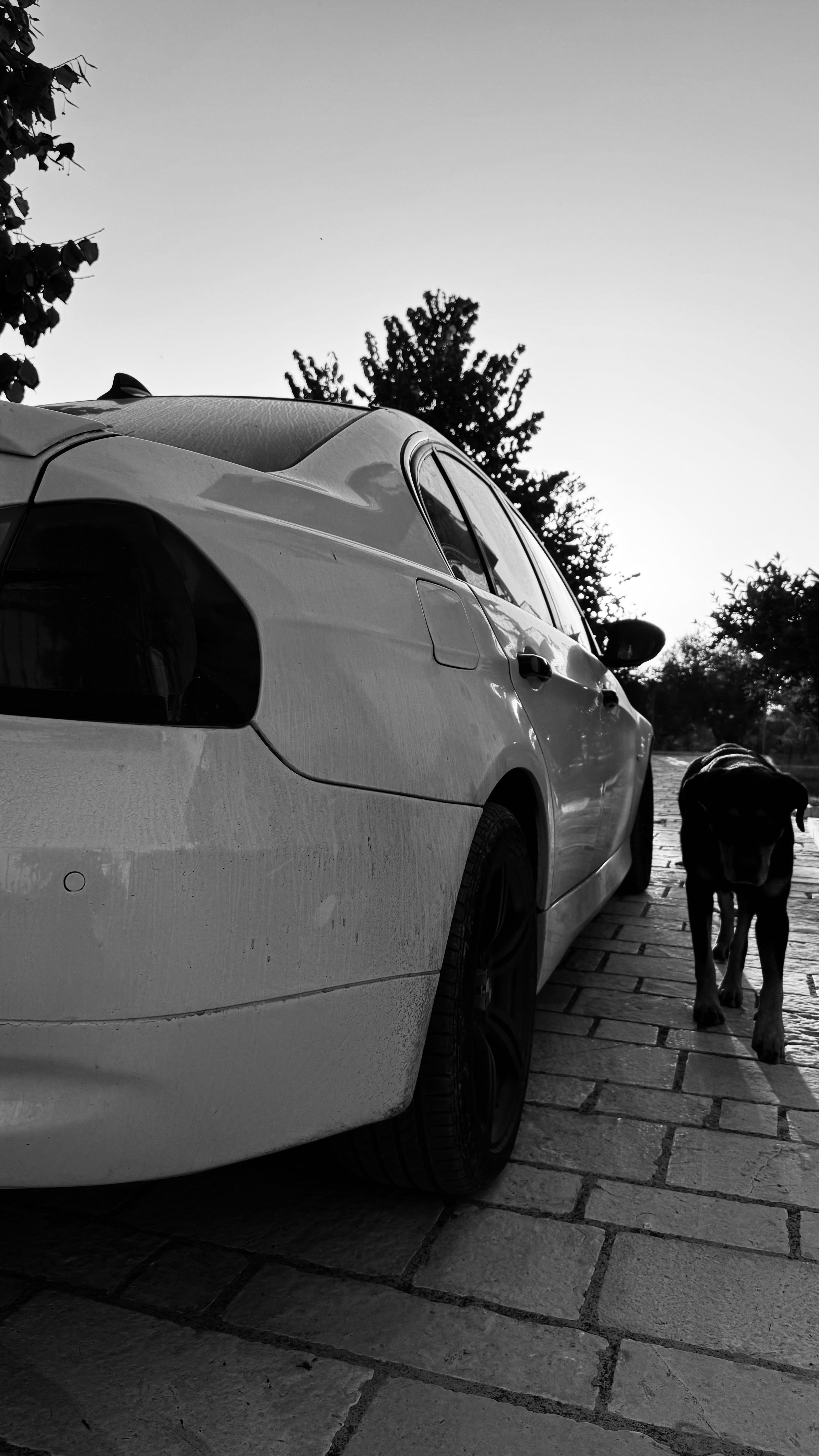 BMW 3 Series - photo 3