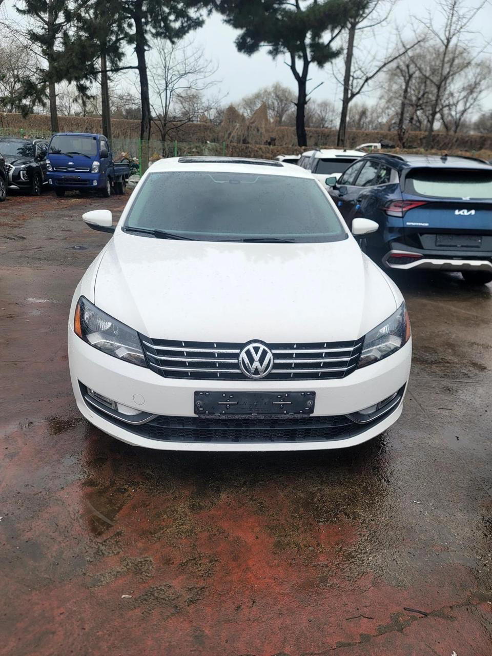 Volkswagen Passat for rent