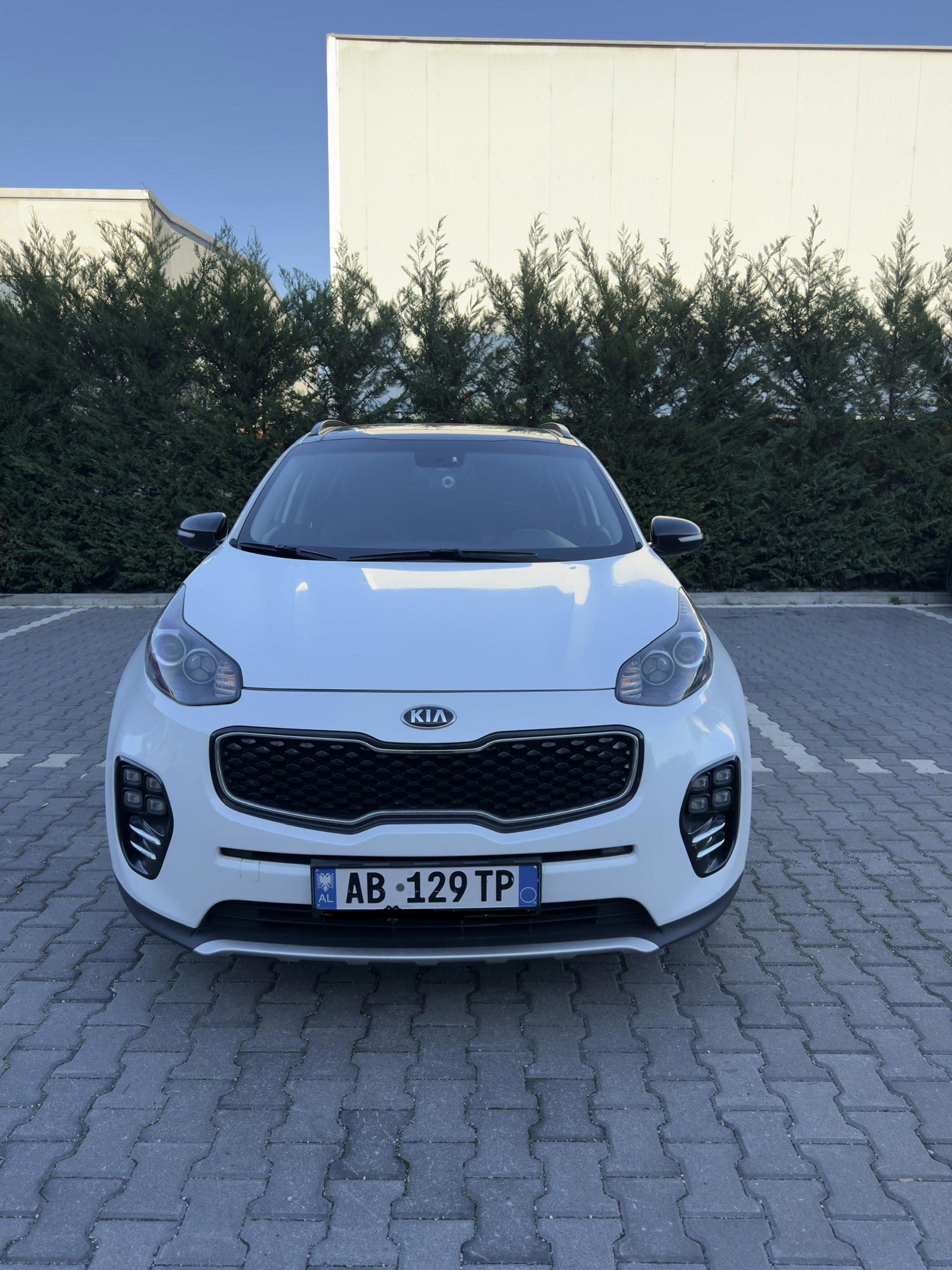 Kia Sportage for rent
