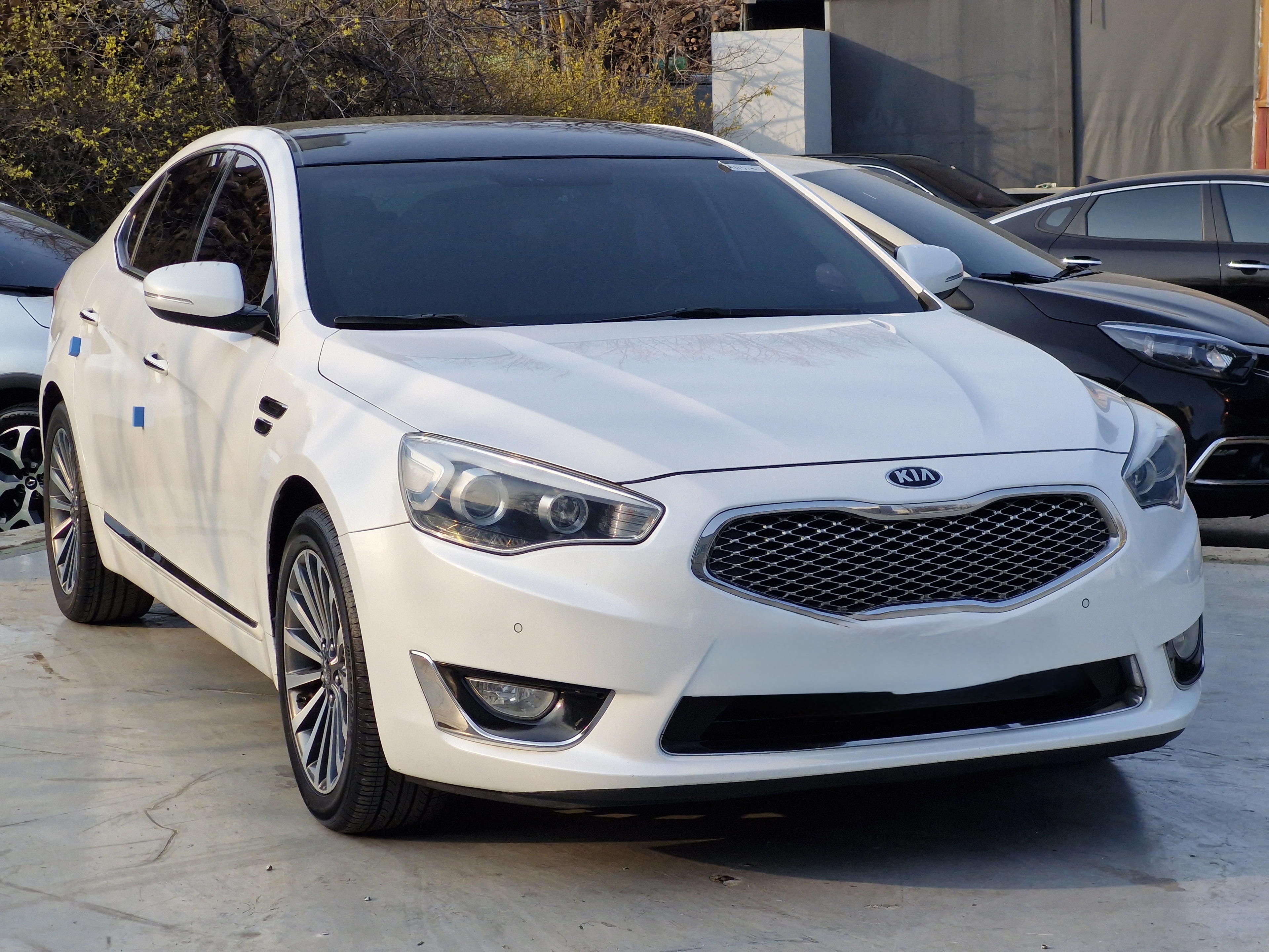 Kia K900 for rent