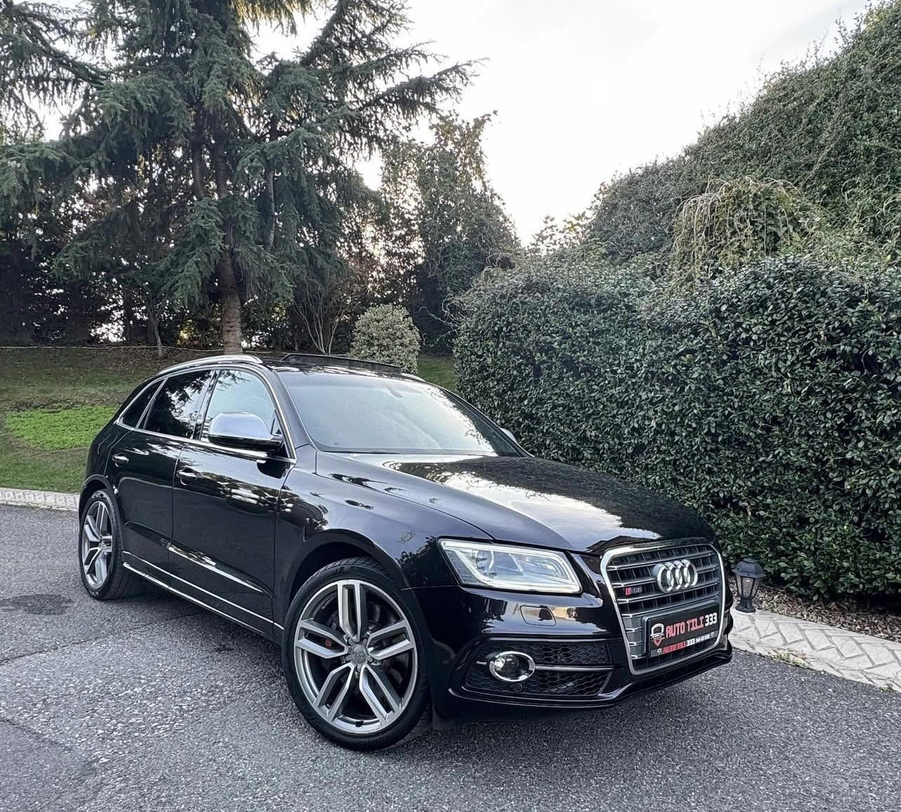 Audi SQ5 - main photo