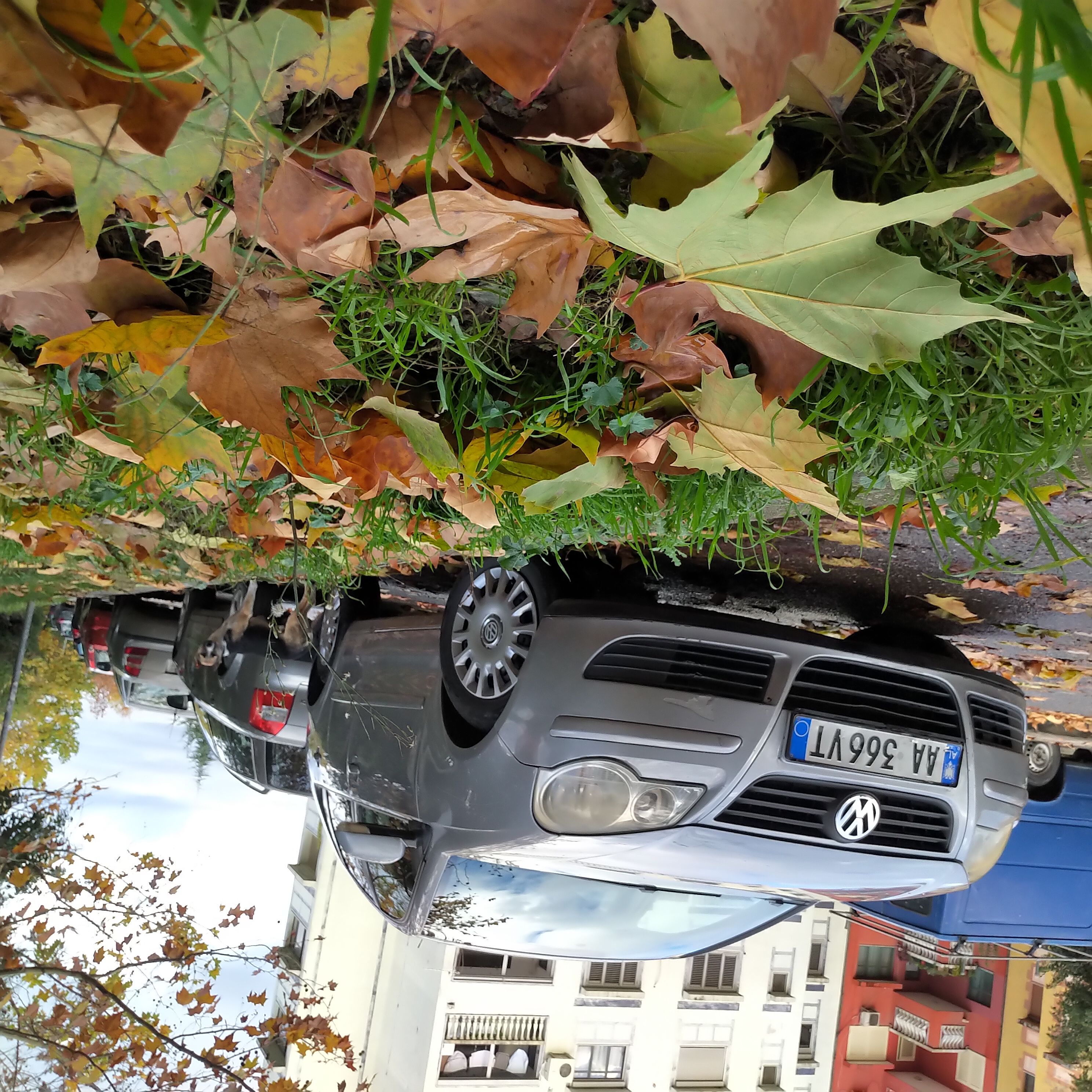 Volkswagen Polo - photo 3