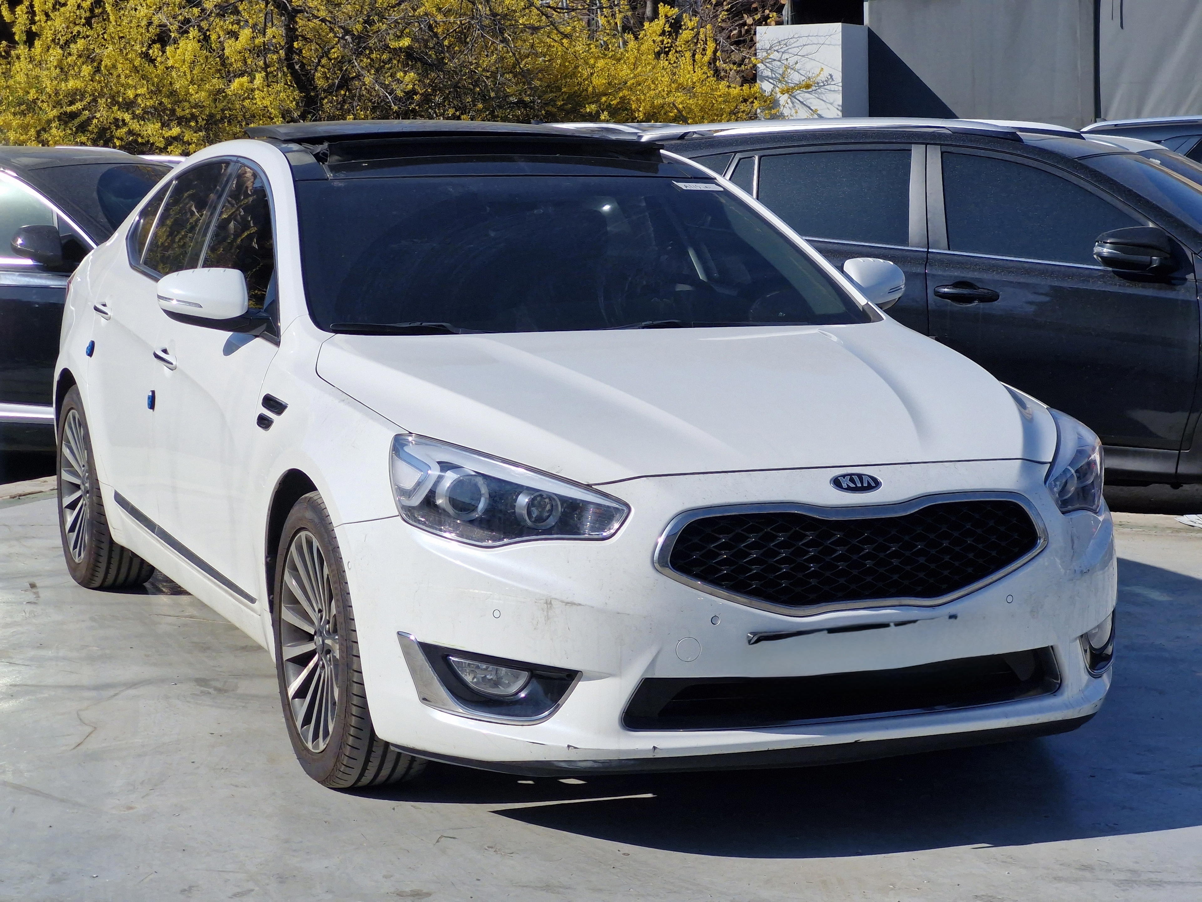 Kia K900 for rent